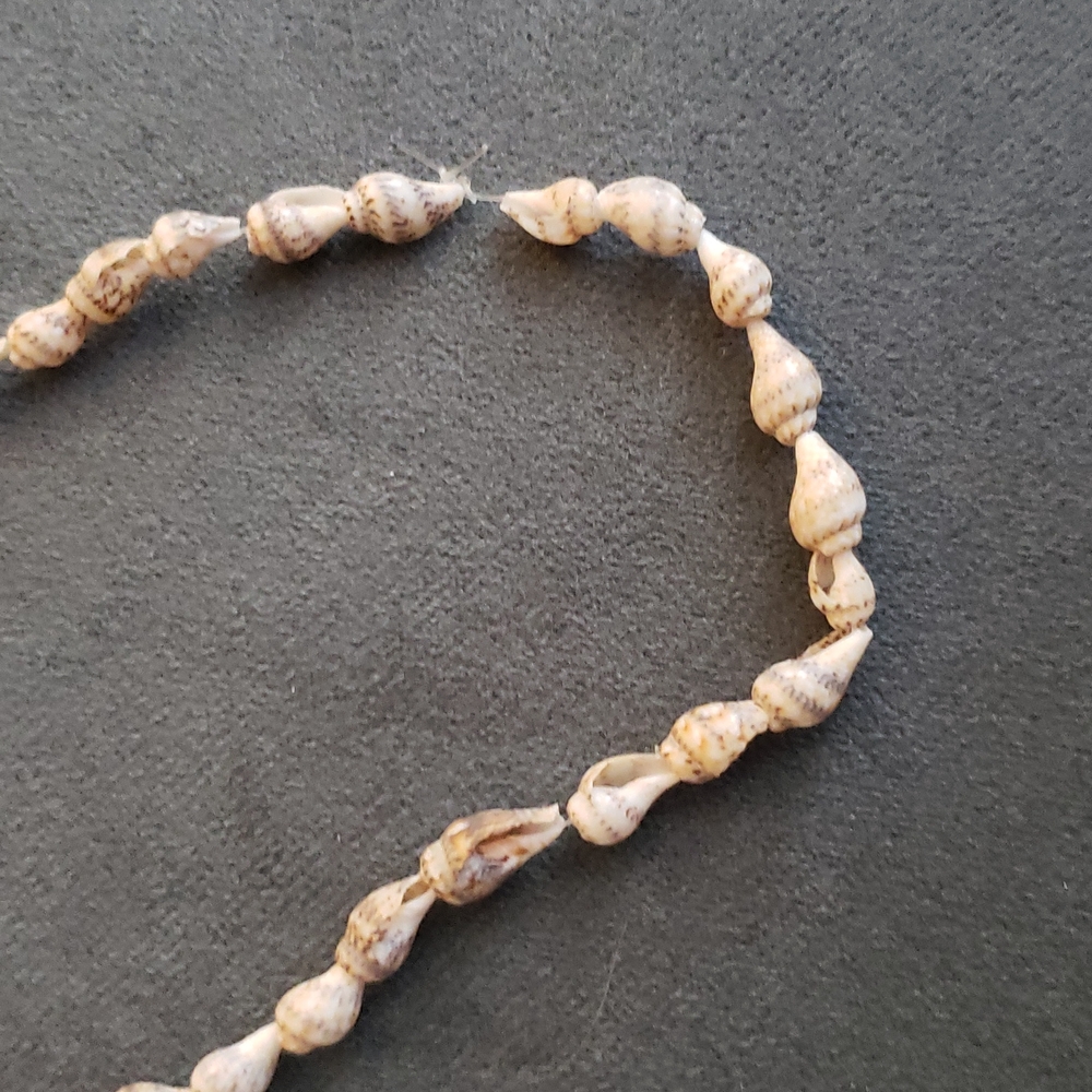 Sea Shell Necklace - Picture 4 of 4